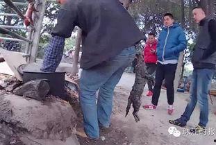屠宰最新爆料消息新闻,屠宰行业惊人内幕曝光，行业整顿势在必行